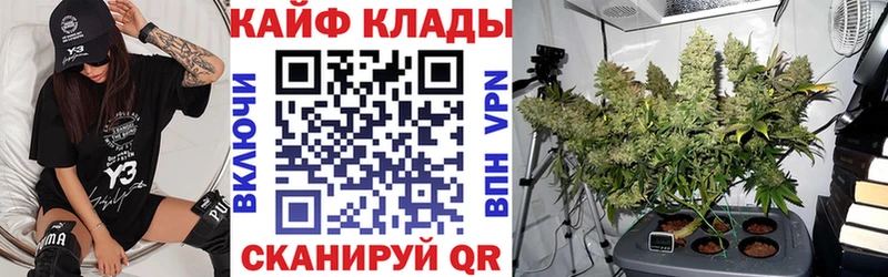 ГАШИШ Борзя