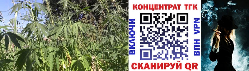 Купить где  Борзя  Дистиллят ТГК жижа 