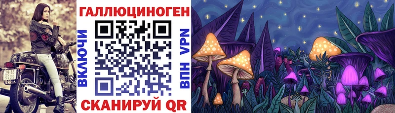 Галлюциногенные грибы Magic Shrooms  Купить где  Борзя 